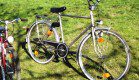 Sozial mit Menschen und Natur
