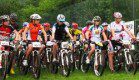 Crash Replacement Service der Fahrradhersteller