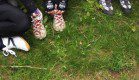 Verschiedene Schuhmodelle