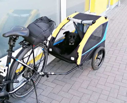Fahrradanhänger Hunde Test - mit E-Bike & Anhänger
